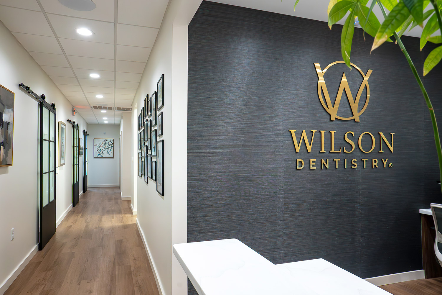 Wilson Dentistry office reel photo 2